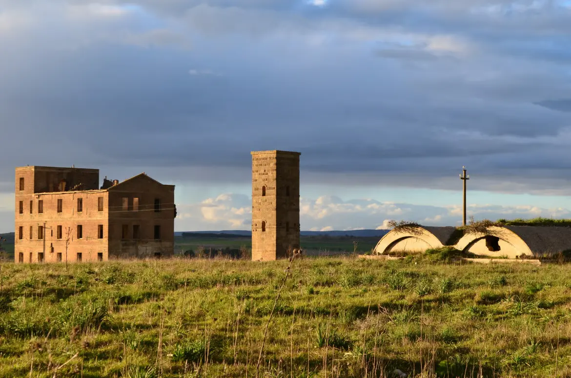 campo-65.jpg (1)